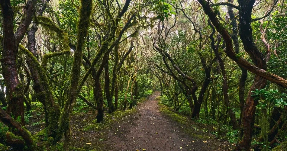 Best Outdoor Adventures in Los Angeles: Hiking, Beaches & More