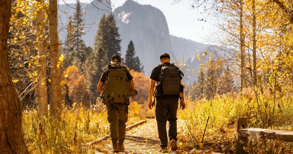 Ultimate Los Angeles Travel Guide: Top Attractions, Activities & Hidden Gems